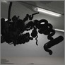 [thumbnail of New Genres]