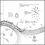 [thumbnail of RM_Radical Matter Journal]