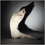 [thumbnail of Shadow serpents 5]
